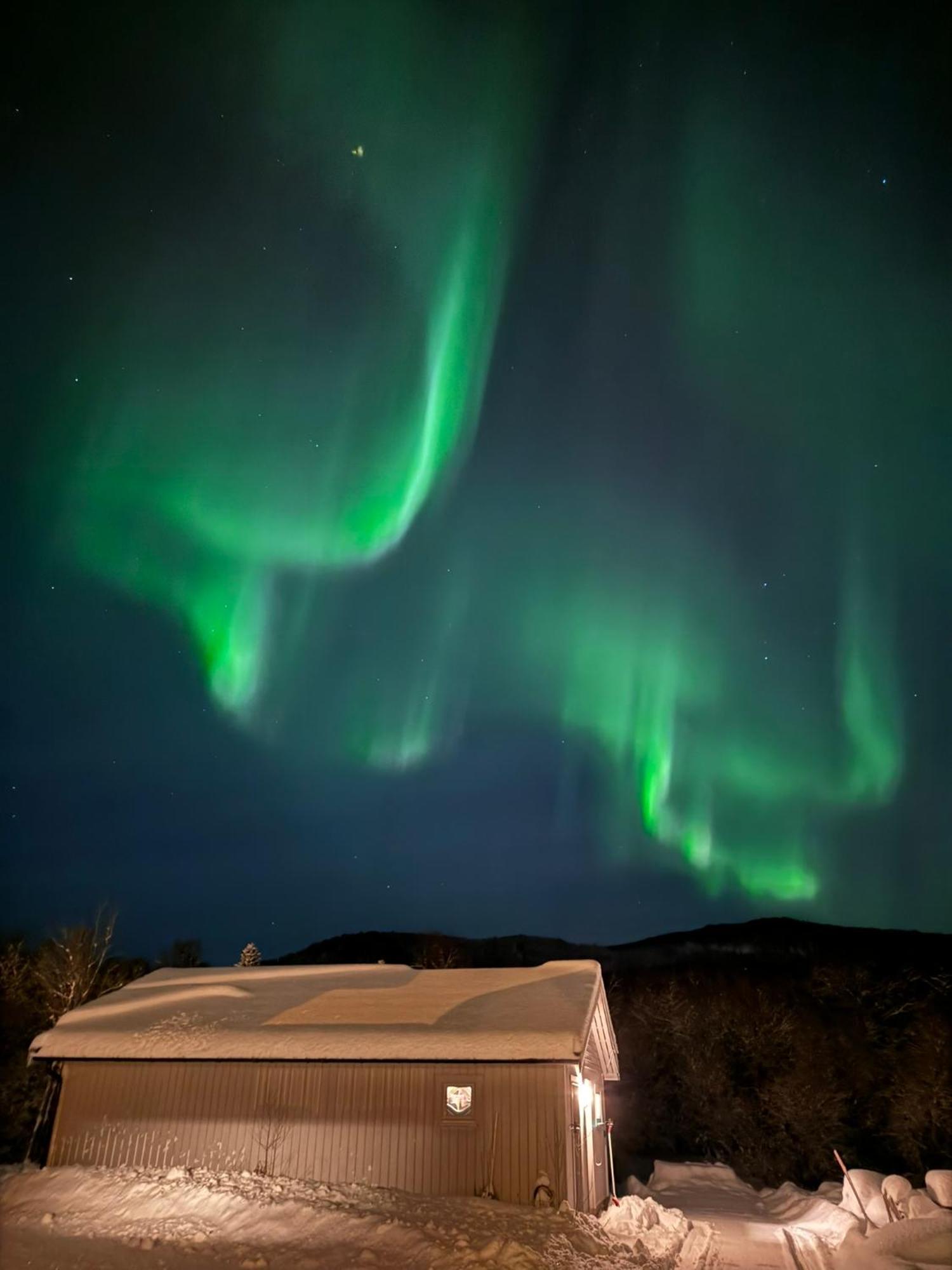 Platinum Vip - Northern Light Luxury House Tromsø Dış mekan fotoğraf